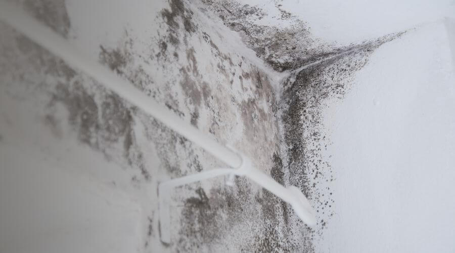 Why choose water damage restoration service for commercial water damage restoration in Winter Haven